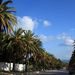 20090130_tunisiatrip_24_carthago1